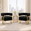 Accent Armchair With Metal Frame(Set Of 2)-719785020