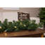 Guirlande de lumières de Noël 25 pi.-1507936334-1507936335