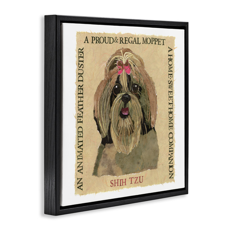 «Fun Shih Tzu Pet», art mural encadré flottant par Nancy Overton, Cadre flottant noir de jais, H 25 po x l 25 po