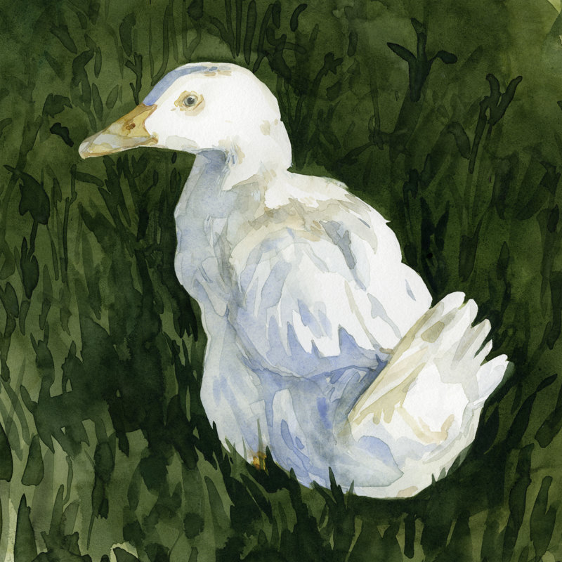Lone Duck II by Emma Caroline - Wrapped Canvas Painting, 91cm H x 91cm W x 3.8cm D