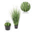 Herbe verte artificielle en pot-24132952