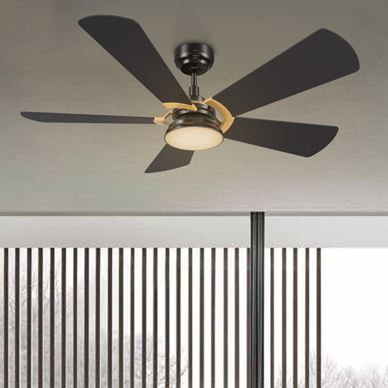 Amonnie 52'' Ceiling Fan with LED Lights, Black