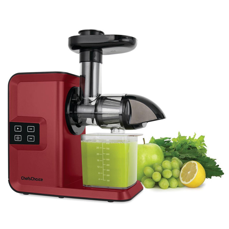 Compact Juicer, Easy to Clean, Mini Juicer with Reverse Function, Cold Fruit and Vegetable Juicer with Brush, Red C&G Outdoors