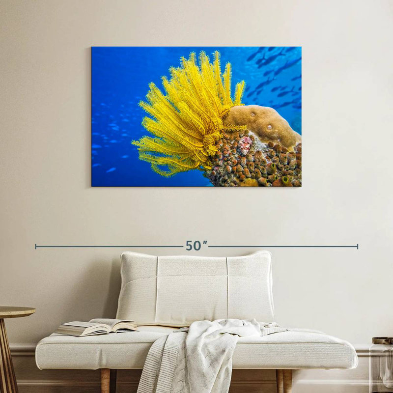 Brampt Yellow Feather Starfish, 26" H x 39" W