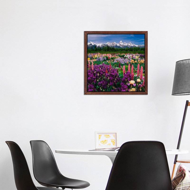 Iris & Lupine Field, Grand Teton National Park, Teton County, Wyoming, Usa by Adam Jones - Print on Canvas