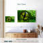 Oeil de python vert Brampt-108730984