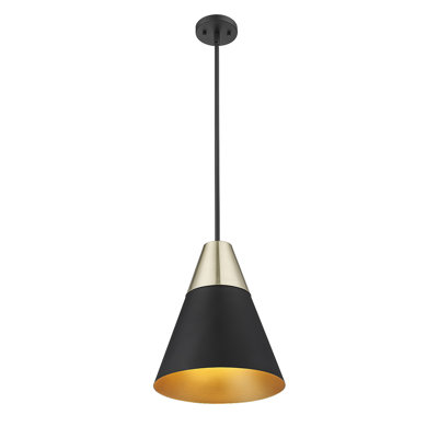 Luminaire suspendu conique à 1 lumière Antek