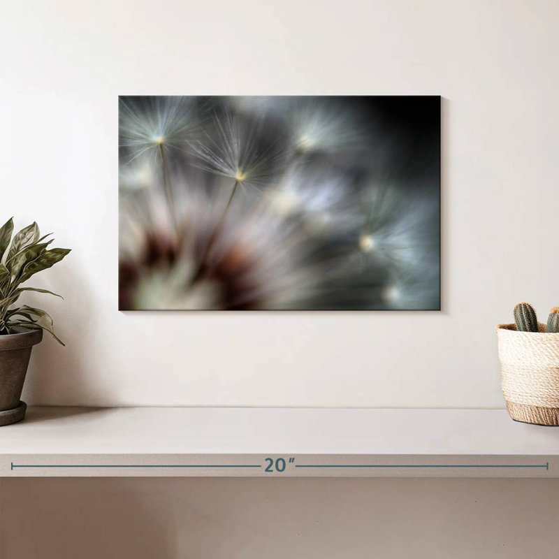 Feux d'artifice Harnek Dandelion, H 8 po x l 12 po