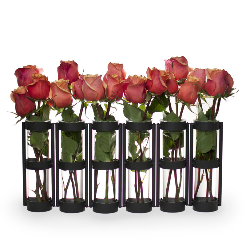 Vases réglables Nacomia, Noir, L 19 po x l 2,5 po x H 8 po
