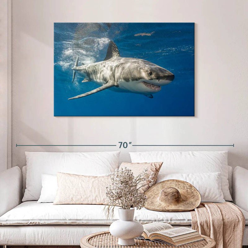 Shark, 30" H x 45" W
