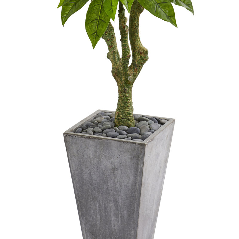 5,5 pi Arbre artificiel Plumeria gris résistant aux rayons UV (intérieur / extérieur)