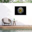 "Ologia ", fleurs sur toile-98044519