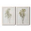 Farmhouse Pressed Flower I - Ensemble de 2 peintures sur toile encadrées-1589339748-1589339746