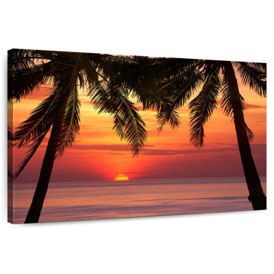 Gillard Palm Tree Beach Sunset