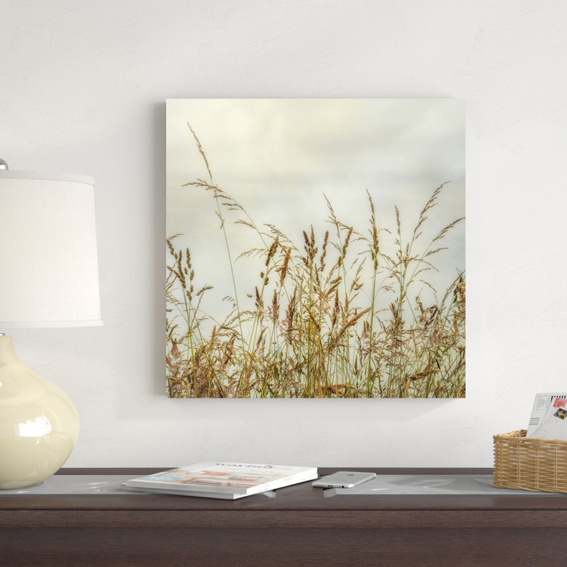 «Bluff Grass I» par Dianne Poinski - impression sur toile tendue, H 20 po x l 20 po