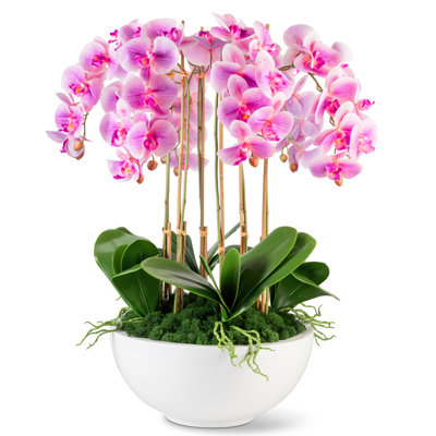 Jetta Oversized Realtouch Orchid Arrangement in Large Fiberstone Bowl