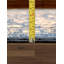 Elginpark Oriental Area Rug