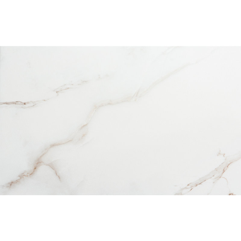 Carreau de sol en porcelaine mate 12 po x 24 po The Tile Life