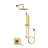 Honesty Rite-Temp Showering Kit 2.5 GPM-98958547
