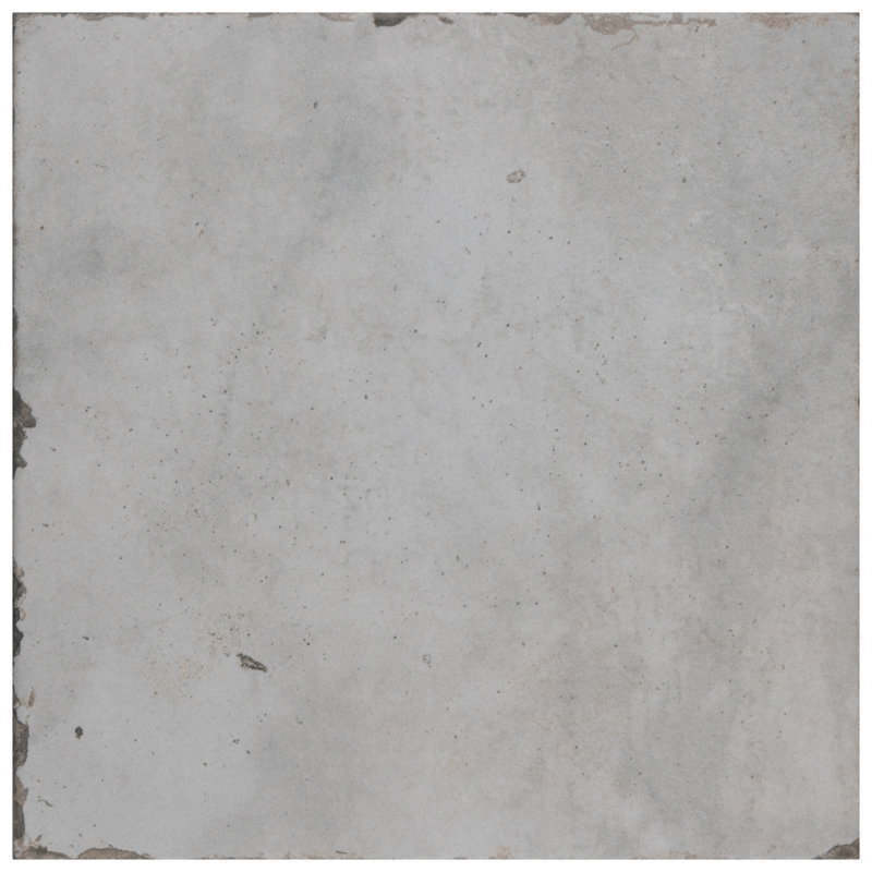 Renaissance 8" x 8" Porcelain Vintage Wall & Floor Tile
