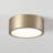 Realyn LED Flush Mount