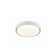 Ancram Glass LED Ceiling Light