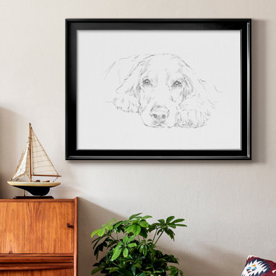 Lazy Dog II
