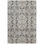 Lindstra Oriental Area Rug in Warm Gray