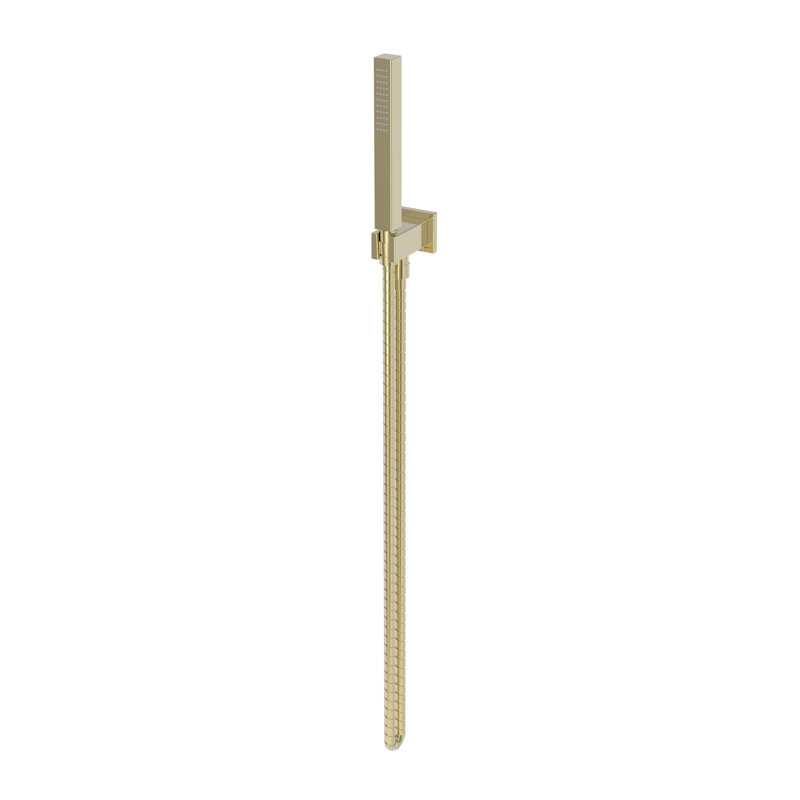Single Function Hand Shower Set, French Gold (PVD)