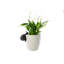 Porte-pot Snail Pot Buddy