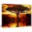 «Lonely Tree in African Sunset», impression-35062475-35062479