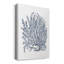 Toile tendue avec châssis Summer Herb Garden Sketches II - prête à être accrochée-515071276
