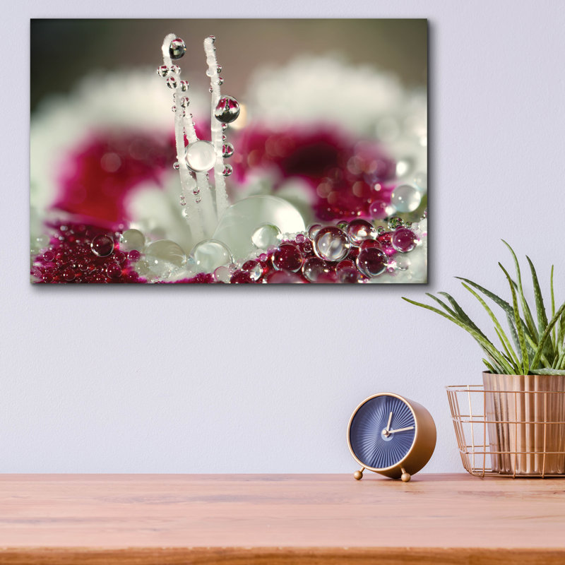 «Macro Flowers 07» par Gordon Semmens, H 12 po x l 16 po x P 0,13 po