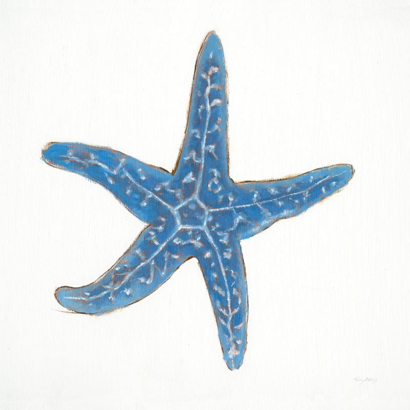 «Marine Starfish» par Emily Adams, reproduction d'art sur toile tendue, H 20 po x l 20 po