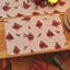 Christmas Robins Placemat Pair
