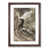 Walnut Framed