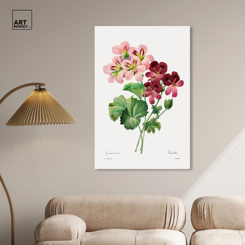 Art Remedy, impressions sur toile, géranium, 1827, Toile tendue, H 45 po x l 30 po