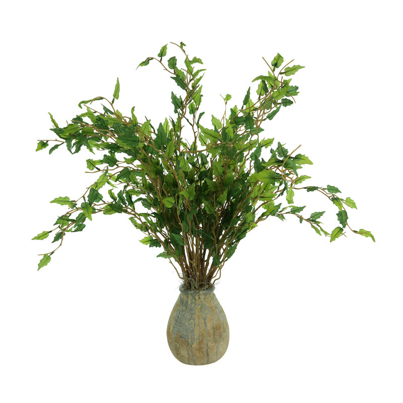 Maitland Smilax dans un vase en céramique