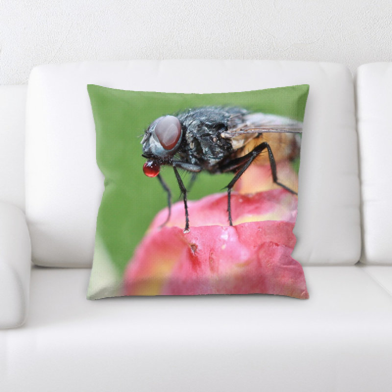 Coussin décoratif fly