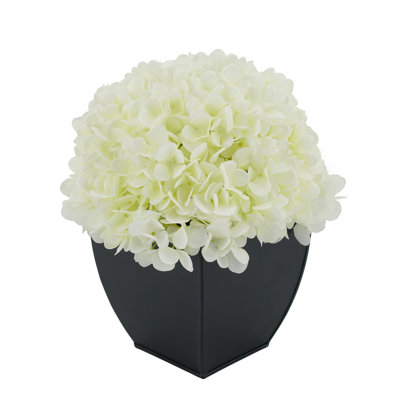 Arrangement floral hortensia en pot
