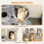 170cm H Cat Tree