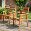 Chaises de salle à manger d'extérieur en PEHD toutes saisons (ensemble de 2)-1776969485