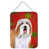 Bearded Collie (Brown)