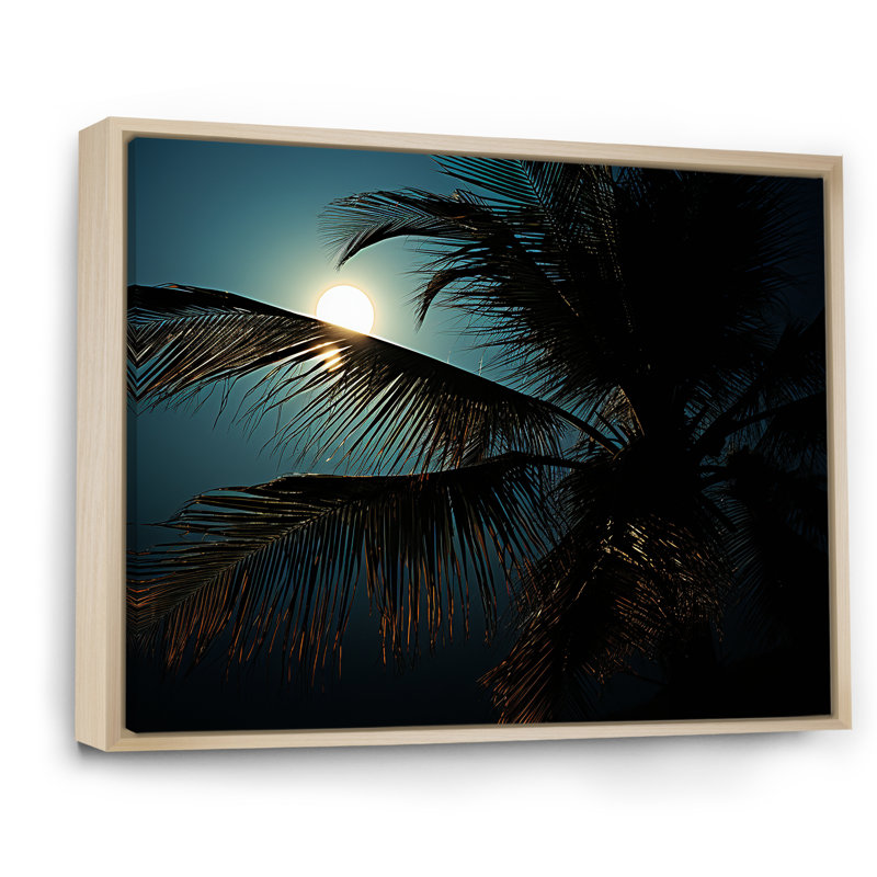 «Sapphire Solitude Palm Serenity» sur impression sur toile, H 30 po x l 40 po x P 1,5 po, Cadre naturel flottant