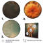 «Blossoming Butterfly Blessing Mudra I», reproduction sur toile-170896072-170896073