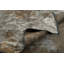 Rapture Gray/Brown Abstract Luxury Area Rug-68901437