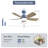 Rita 42" 5-Blade Modern Dark BlueThree-Color Dimmable Ceiling Fan Light with Remote Control