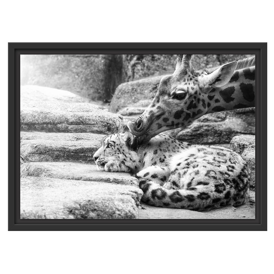 Gerahmtes Wandbild Leopard und Giraffe