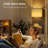 Nikkolas 63'' LED Arched Floor Lamp-156477245-156477244