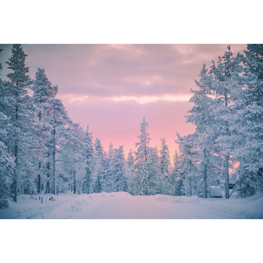 Snowy Forest von Serts - Ohne Rahmen auf Leinwand